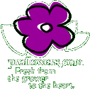 THE Place for Flowers.. DIRECT FROM THE GROWER...